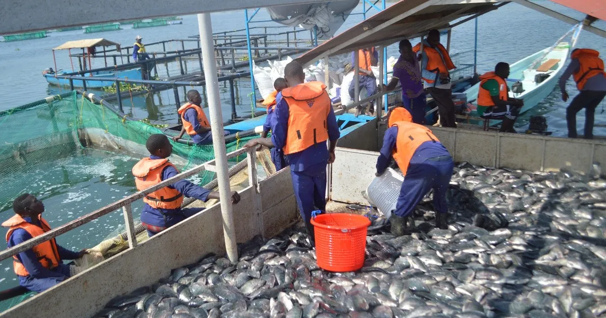 AquaCulture